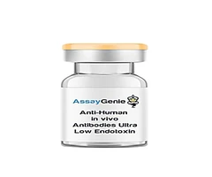 Mouse IgG1 Isotype Control [HKSP84]-Low Endotoxin 25mg - Assay Genie - Anticuerpos primarios