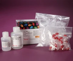 KLEENGUARD* G20 Chemical Protection Nitrile Gloves, Atlantic Green - Kimberly-Clark - Gloves - Nitrile