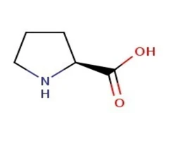 L-Prolina, 99% 500 g - Thermo Scientific Chemicals (LCD) - Compuestos bioquímicos - Compuestos bioquímicos - A10199.36-0