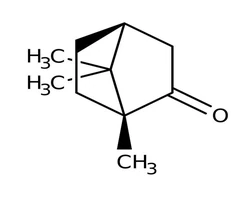 (1R)-(+)-Alcanfor, 98% 500 g - Thermo Scientific Chemicals (LCD) - Compuestos bioquímicos - Compuestos bioquímicos - A10708.36-0