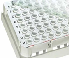 PELÍCULA ADHESIVA PARA PLACAS PICO (UNIDAD) - Fermentas - Sellado de placas - Placas - ASF0020100-0