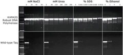 Espiramicina de Streptomyces sp. VETRANAL®, estándar analítico, mezcla de isómeros, envase de 1 x 10 - Supelco - Estándars y materiales de referencia - Estándars y materiales de referencia - 46745-100MG-2