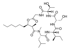 GLOBOMYCIN FROM STREPTOMYCES HAGRONENSIS pack 1X1MG - Sigma Aldrich - Antimicrobianos