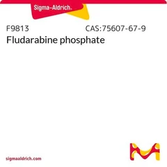 FLUDARABINE PHOSPHATE pack 1X5MG - Sigma Aldrich - Antimicrobianos