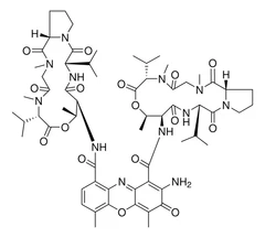 Actinomycin D, Ready Made Solution from Streptomyces sp., 2 mg/mL in DMSO pack 1X1ML - Sigma Aldrich - Antimicrobianos