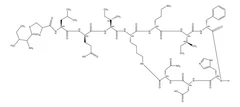Bacitracin from Bacillus licheniformis, ≥65 IU/mg pack 1X25G - Sigma Aldrich - Antimicrobianos