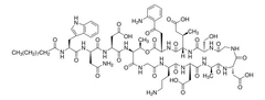 Daptomycin cyclic lipopeptide antibiotic pack 1X1MG - Sigma Aldrich - Antimicrobianos