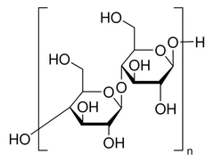Paquete de polvo de α-celulosa 1 x 5 kg - Sigma Aldrich - Compuestos bioquímicos - Compuestos bioquímicos - C8002-5KG-0
