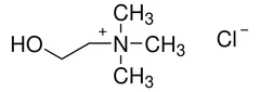 Cloruro de colina ≥98%, envase de 1 x 1 kg. - Sigma Aldrich - Compuestos bioquímicos