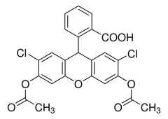 Diacetato de 2′,7′-diclorofluoresceína ≥97%, envase de 1 x 50 mg. - Sigma Aldrich - Compuestos bioquímicos