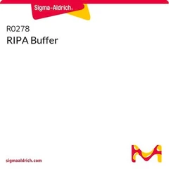 Paquete de amortiguador RIPA 1 x 50 ml - Sigma Aldrich - Compuestos bioquímicos