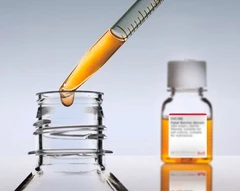HUMAN SERUM TYPE AB (MALE) FROM MALE AB pack 1X100ML - Sigma Aldrich - Reactivos y medios de cultivo celular
