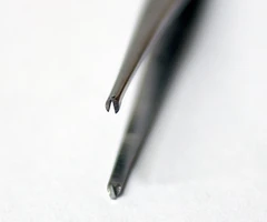 Pinza diseccion 1:2 dientes, 125 mm  10 uds - PQN Essentials - Pinzas