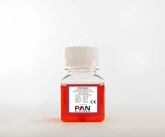 Amniopan, Complete Medium for Amniotic Fluid Cells & CVS 100 ml - PAN BIOTECH - Reactivos y medios de cultivo celular - Reactivos y medios de cultivo celular - P04-70100-0