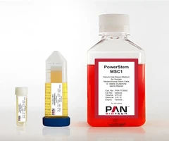 PowerStem MSC1, Serum-free medium for human mesenchymal stem cells (hMSC) 500 ml - PAN BIOTECH - Sueros