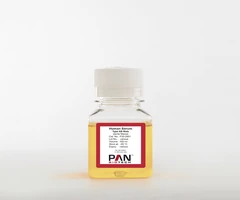 Human Serum, Type AB, male, sterile filtered 100 ml - PAN BIOTECH - Sueros