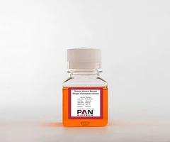 Donor Horse Serum, EU origin, 0.2 µm sterile filtered 100 ml - PAN BIOTECH - Sueros