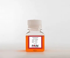 Lamb Serum, sterile filtered 100 ml - PAN BIOTECH - Sueros
