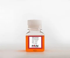 FBS Premium, South America origin, fetal bovine serum, 0.2 µm sterile filtered 100ml - PAN BIOTECH - Sueros