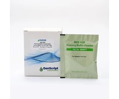 MES SDS Running Buffer Powder 1 box(5pcs) - Genscript - Electroforesis de proteínas-Reactivos y suplementos - Electroforesis de proteínas - M00677-0