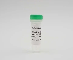HTRF PLCG2 TOTAL KIT - CTRL LYSATE - REVVITY - Other reagents and consumables