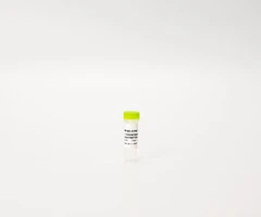HTRF (H) ATM TOTAL KIT - CTRL LYSATE - REVVITY - Other reagents and consumables