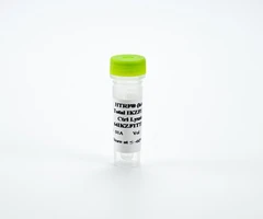 HTRF (H/M) TOTAL IKZF1 KIT - CTRL LYSATE - REVVITY - Other reagents and consumables