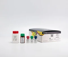 HTRF CAMP GI KIT - 20K PTS - REVVITY - Other reagents and consumables