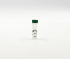 HTRF ALPHA-SMA KIT - CTRL LYSATE - REVVITY - Other reagents and consumables