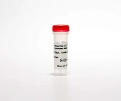 Tinción lisosomal PHENOVUE 577 - REVVITY - Colorantes, medios de tincion e indicadores
