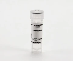 PHENOVUE ANTI-MAP2 ANTIBODY 100X - REVVITY - Anticuerpos primarios