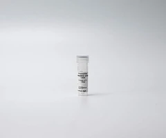 PHENOVUE ANTI-NESTIN ANTIBODY 100X - REVVITY - Anticuerpos primarios