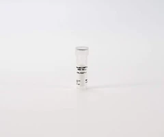 PHENOVUE ANTI-LAMP1 ANTIBODY 100X - REVVITY - Anticuerpos primarios
