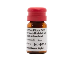 PHENOVUE FLUOR 555 DO ANTI-RB AB CA - REVVITY - Anticuerpos primarios