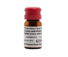 PHENOVUE FLUOR 647 DO ANTI-RB AB HCA - REVVITY - Anticuerpos primarios