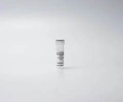 PHENOVUE ANTI-B3 TUBULIN ANTIBODY 100X - REVVITY - Anticuerpos primarios