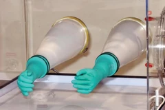 Plas-Labs replacement nitrile gloves - Sigma Aldrich - Guantes - Nitrilo