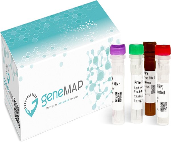 geneMAPTM Thrombophilia Panel, 50T(FII,FVL, MTHFR677&MTHFR1298),50T