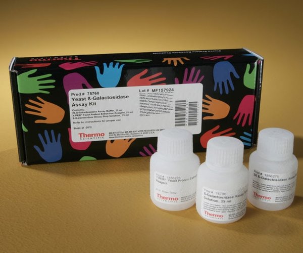 Yeast beta-Galactosidase Assay Kit 1 set