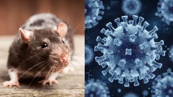 Hantavirus: Desmintiendo mitos y claves para su diagnóstico en el laboratorio