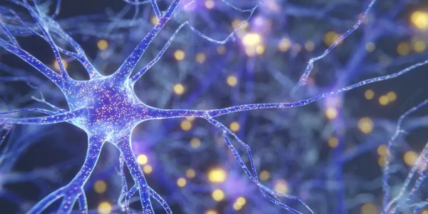 PhenoVue™ CNS: Certeza analítica en la identificación de neuronas y células gliales