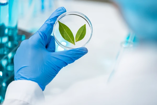 Ciencia Sostenible: Cómo el Plástico Biobased está Transformando el Laboratorio