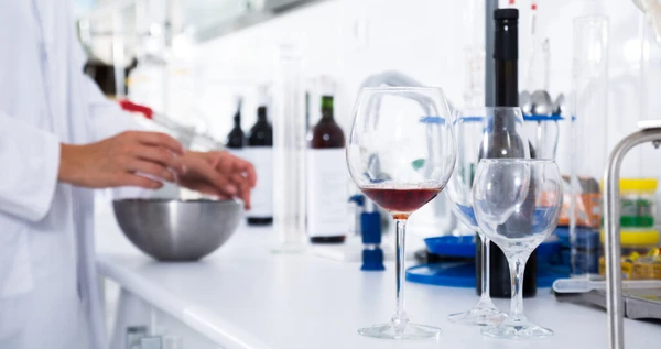 Enología: La fascinante ciencia que tranformó el misterio del vino en pura precisión