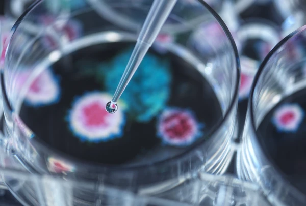 The 5 most common errors in the laboratory (and how to avoid them)