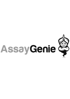 Assay Genie Logo
