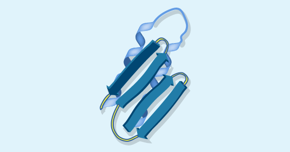 Protein expression