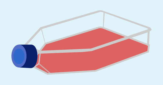 Cell culture plates and flasks