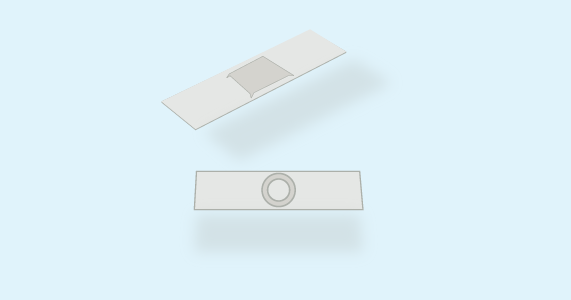 Prepared microscope slides