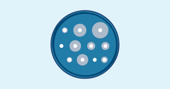 Susceptibility testing