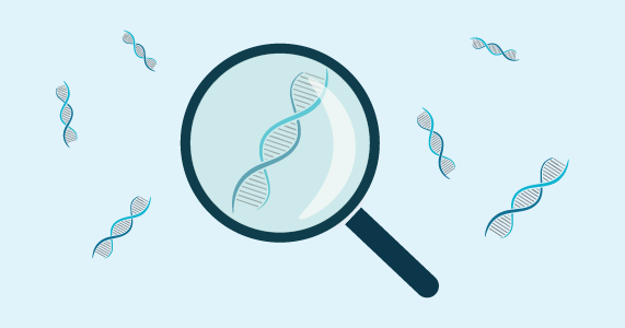 Genetics - Fragment analysis